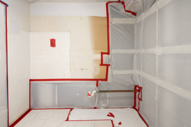 Best Mold Remediation for Healthcare Facilities  in Louisville, NE